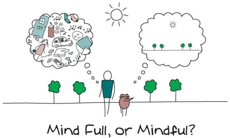Power Tool: Mind FULL vs. Mindful